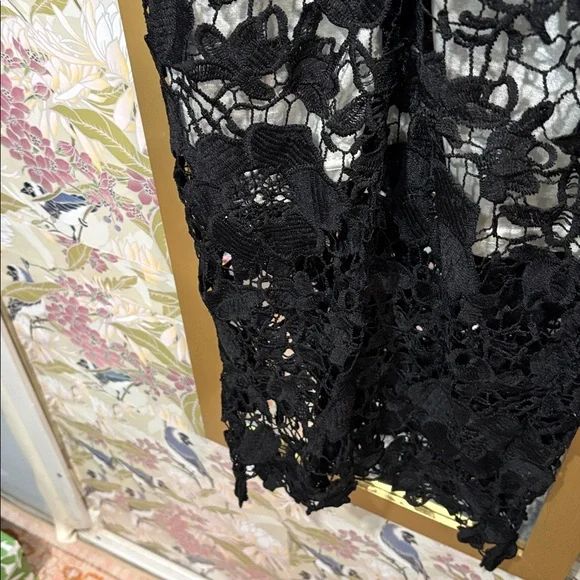Elegant Black Crochet Lace Dress - Picture 4 of 4